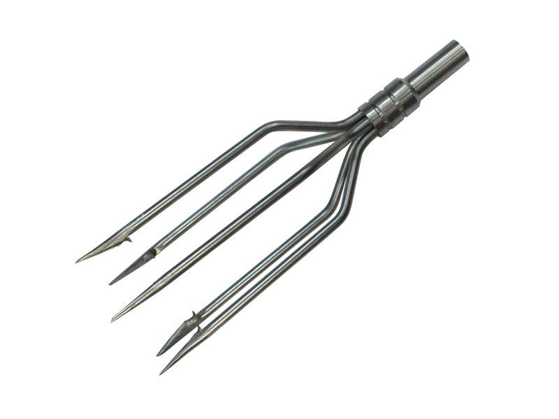 Speartip panicle v5